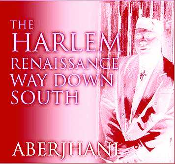 The Harlem Renaissance Way  Down South by Aberjhani 
